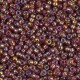 Miyuki seed beads 11/0 - Transparent rainbow siam 11-2461